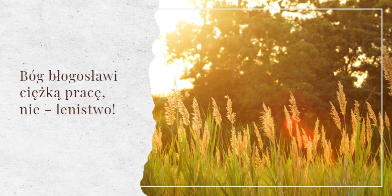 Bóg błogosławi ciężką pracę, nie – lenistwo