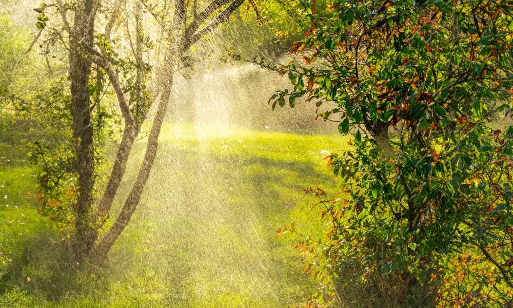 Po burzy zawsze wychodzi słońce!