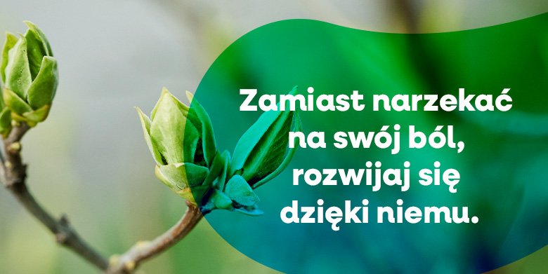 Nie załamuj się, tylko się podnieś (2)