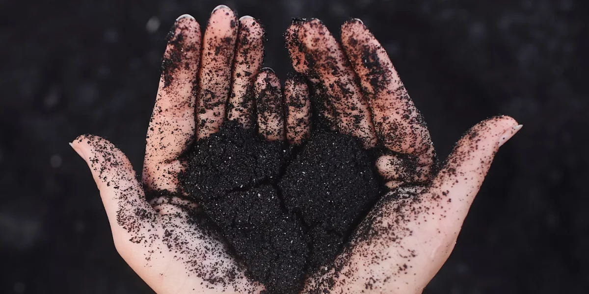 Zatrute serce... O goryczy, która niszczy nasze wnętrze.