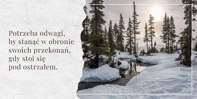 Bądź odważny (2)