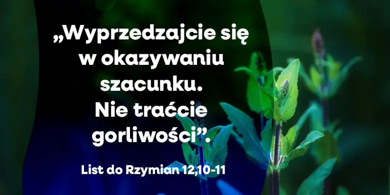 Jeśli jesteś liderem, przeczytaj to!