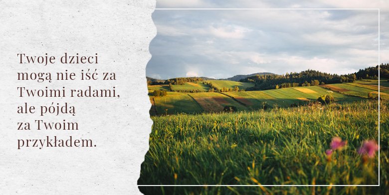 Czego nie nauczysz się w szkole