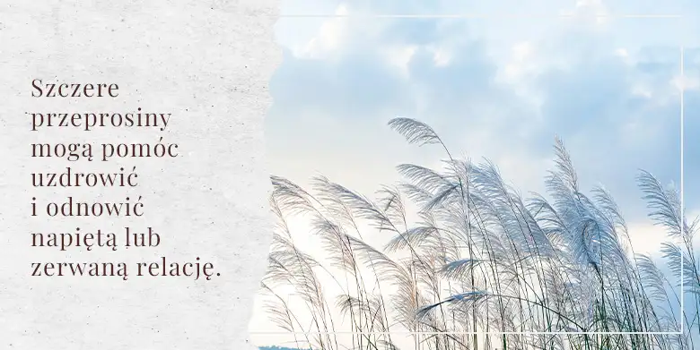 Przeprosiny, które działają